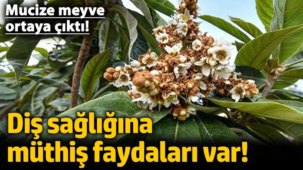 Diş sağlığına müthiş faydaları var! 