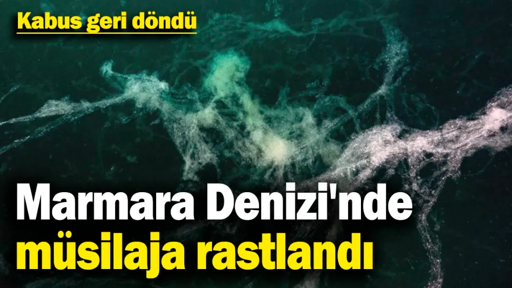 Kabus geri döndü: Marmara Denizi