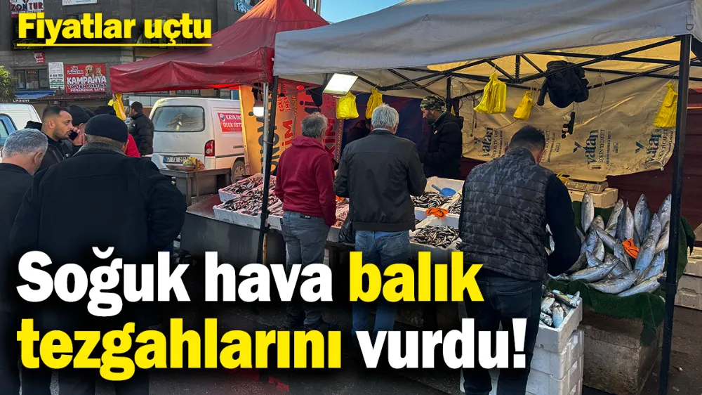 Soğuk hava balık tezgahlarını vurdu! 