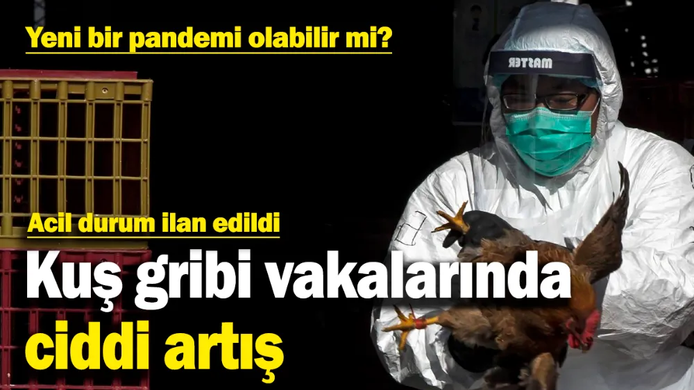 Kuş gribi vakalarında ciddi artış! 