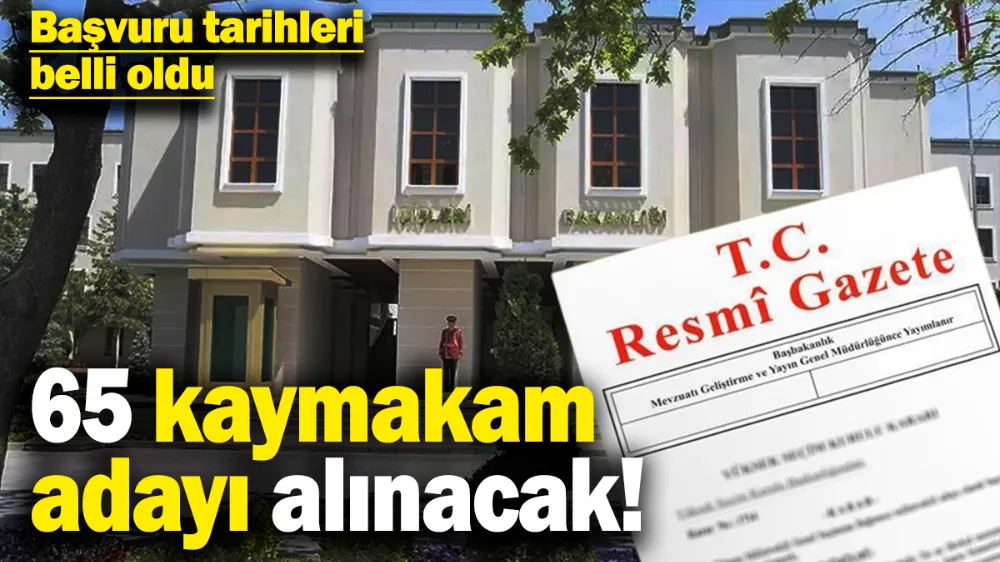 65 kaymakam adayı alınacak! 