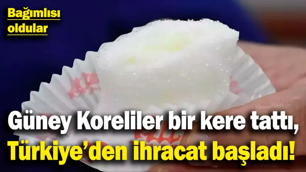 Güney Koreliler bir kere tattı, Türkiye