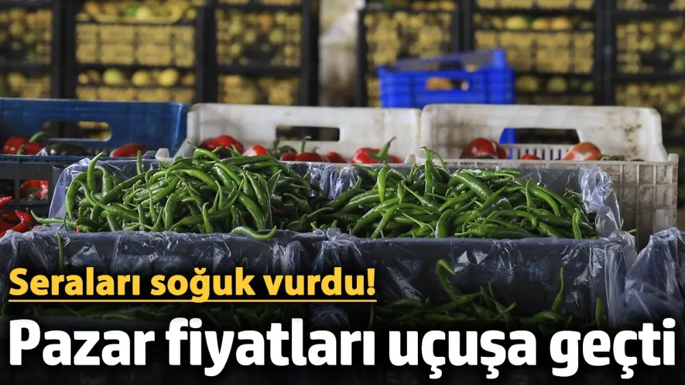 Seraları soğuk vurdu!