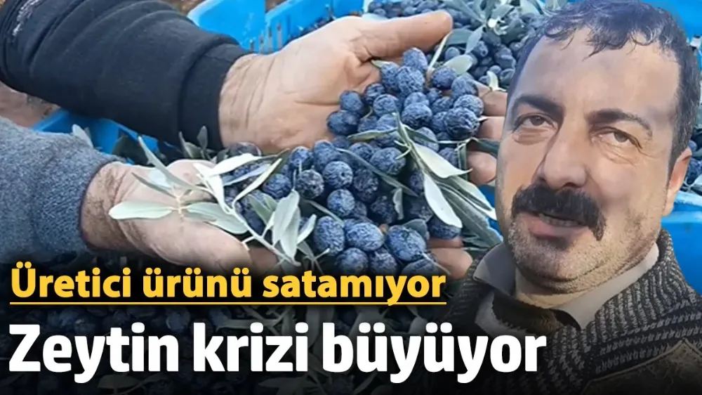 Aydın