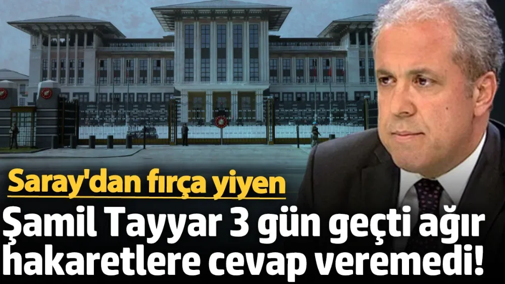 Saray’dan fırça yiyen Şamil Tayyar, ağır hakaretlere cevap veremedi!