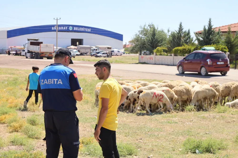 Uygun Olmayan Yerlerde Kurban Satışı ve Kesimine Geçit Yok