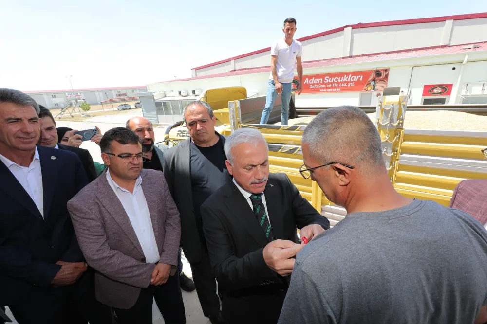 Hasat sezonu başladı, sezonun ilk mahsulü Ticaret Borsasında satıldı