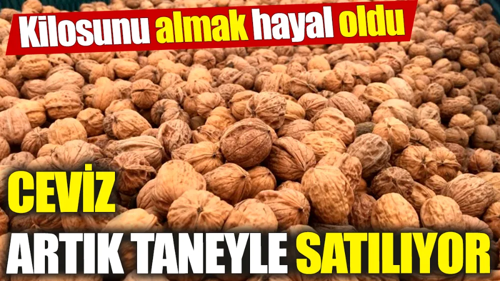 Ceviz artık taneyle satılıyor! 