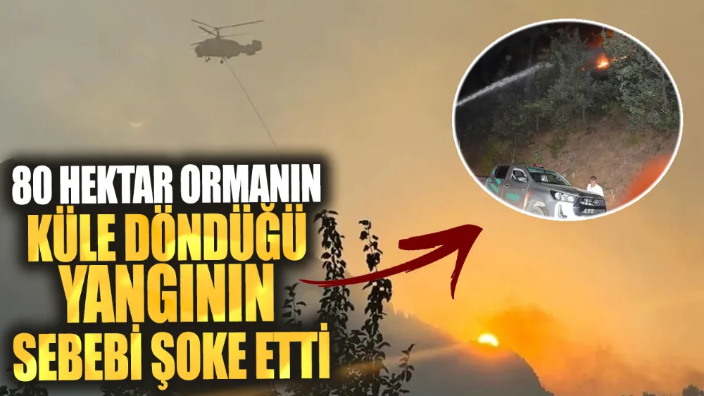 80 hektar ormanın küle döndüğü yangının sebebi şoke etti!