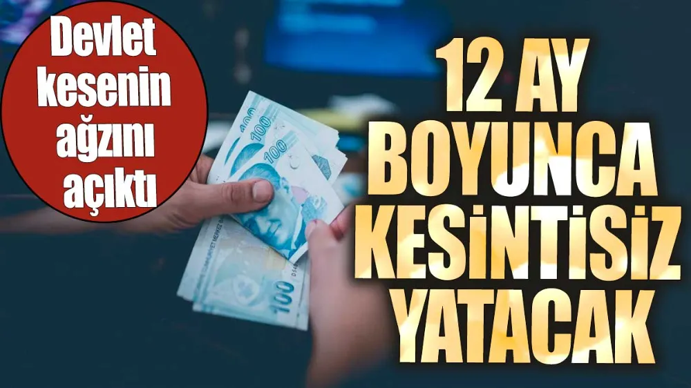 Devlet kesenin ağzını açtı: 12 ay boyunca kesintisiz yatacak