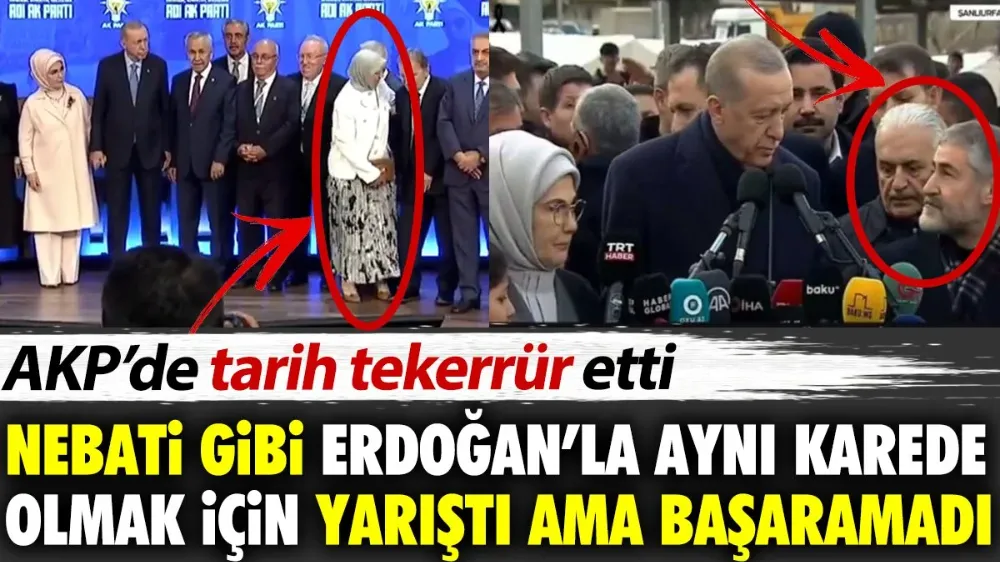 Nebati gibi Erdoğan