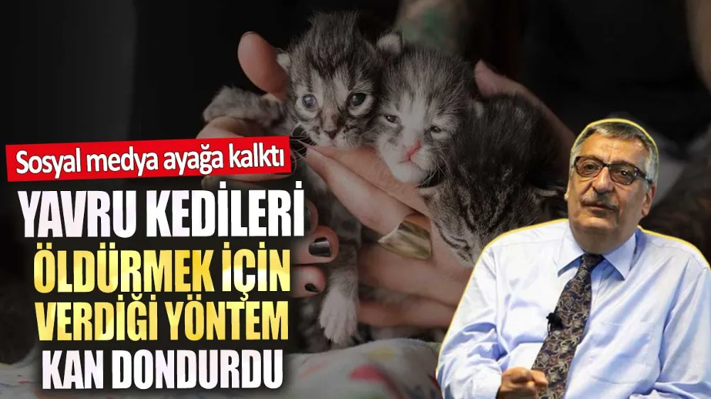 Yavru kedileri öldürmek için verdiği yöntem kan dondurdu