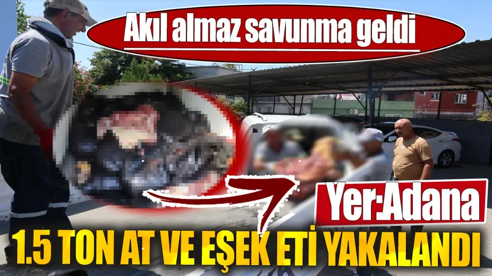 1.5 ton at ve eşek eti yakalandı