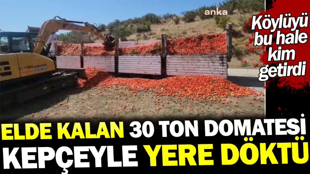 Elde kalan 30 ton domatesi kepçeyle yere döktü !