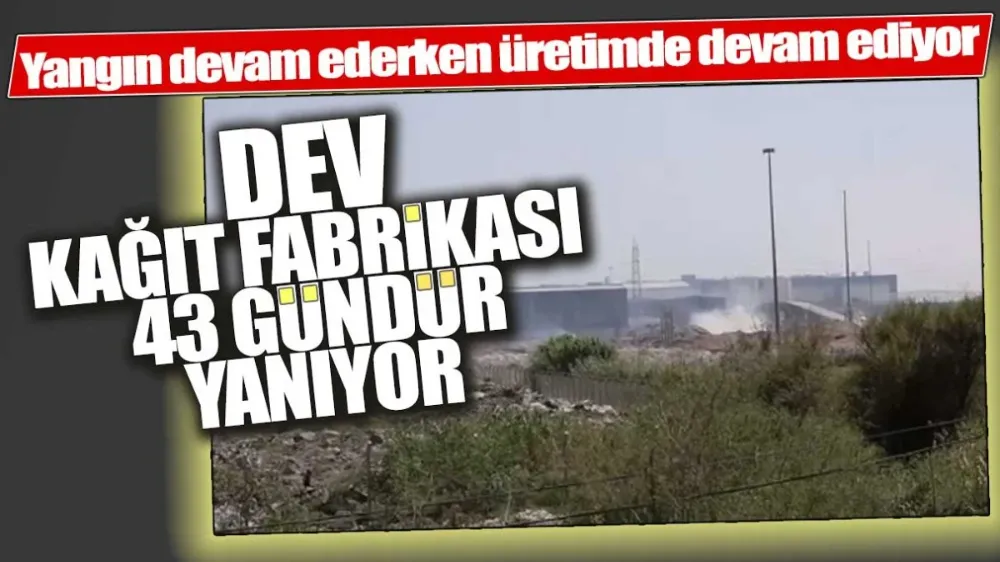 Dev kağıt fabrikası 43 gündür yanıyor !