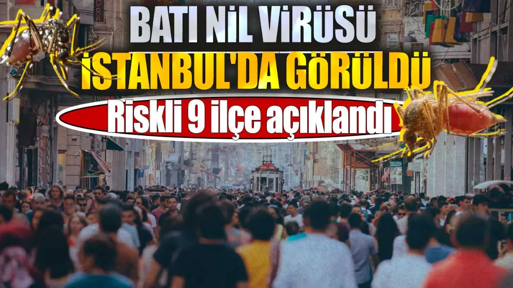 Batı Nil Virüsü İstanbul