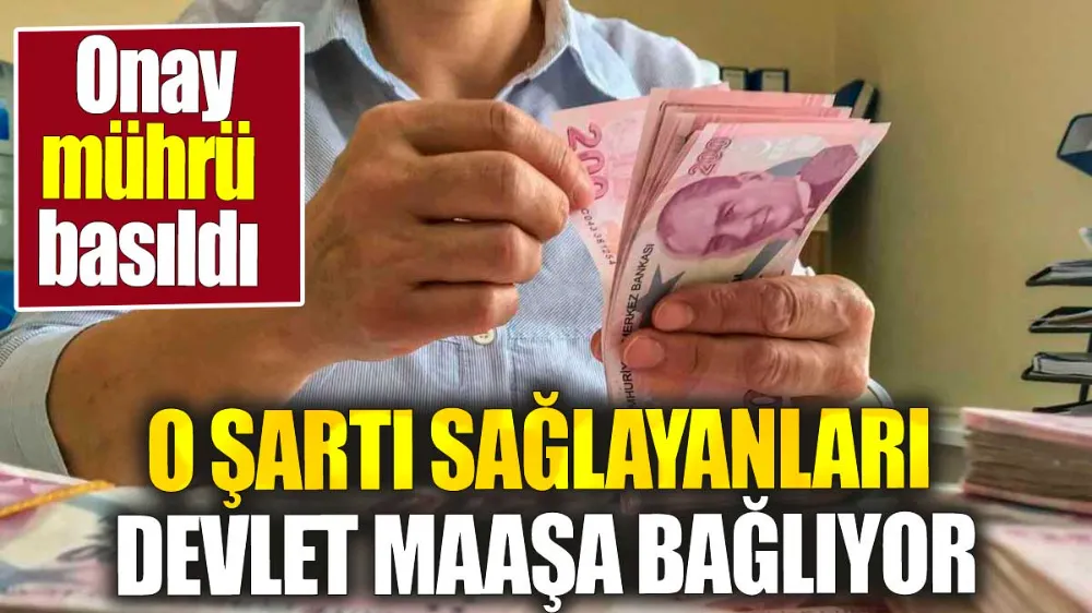 Dar Gelirliye Vatandaşlık Maaşı Geliyor !