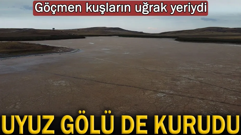 Göçmen kuşların uğrak yeriydi