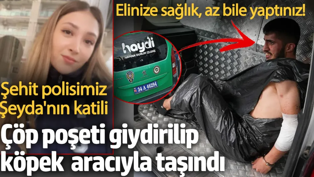 Az bile yaptınız!