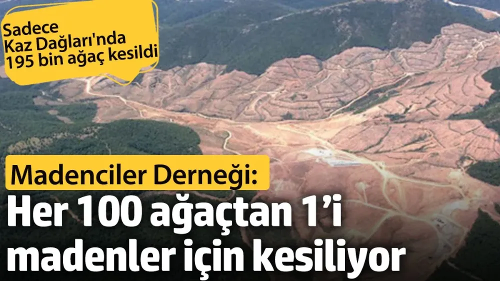 Madenciler Derneği: Her 100 ağaçtan sadece 1’i madenler için kesiliyor