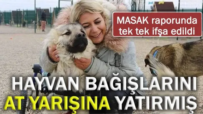 Hayvan bağışlarını at yarışına yatırmış! 