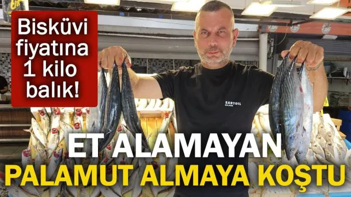 Et alamayan palamut almaya koştu! 