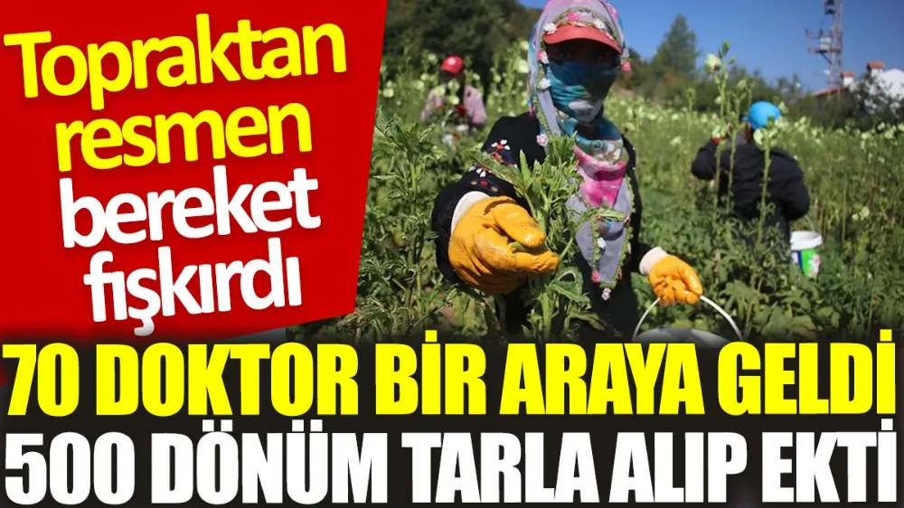 Birlikten kuvvet doğar dedikleri bu olsa gerek !