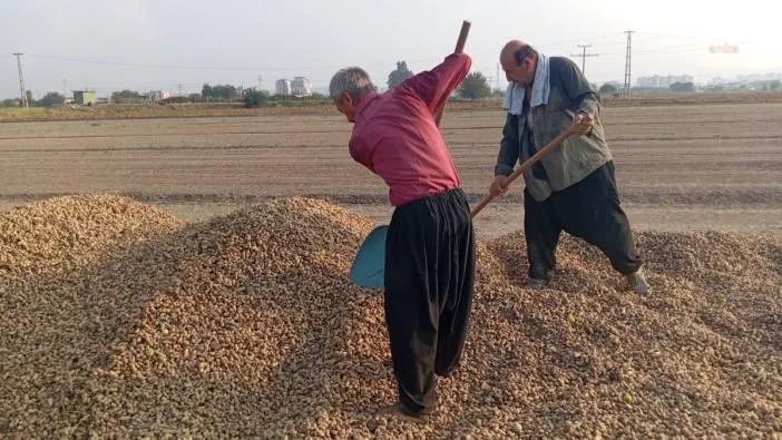 Çiftçi duman olacak...  