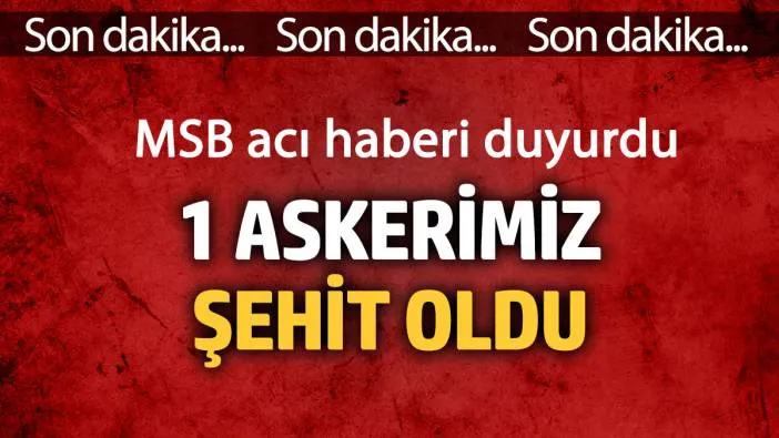 MSB acı haberi duyurdu! 1 askerimiz şehit oldu