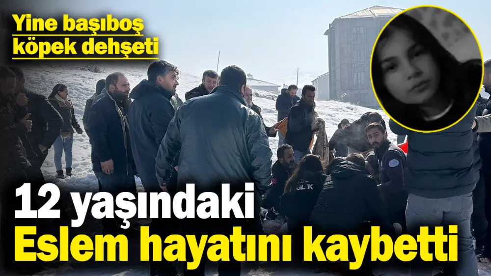 Yine başıboş köpek dehşeti: 12 yaşındaki Eslem hayatını kaybetti