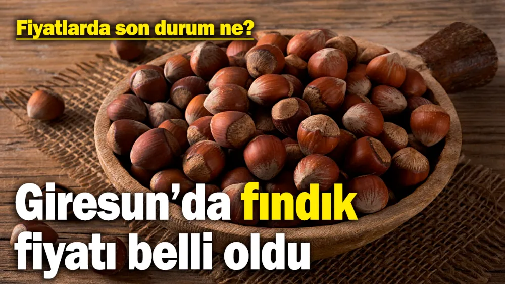 Giresun’da fındık fiyatı belli oldu