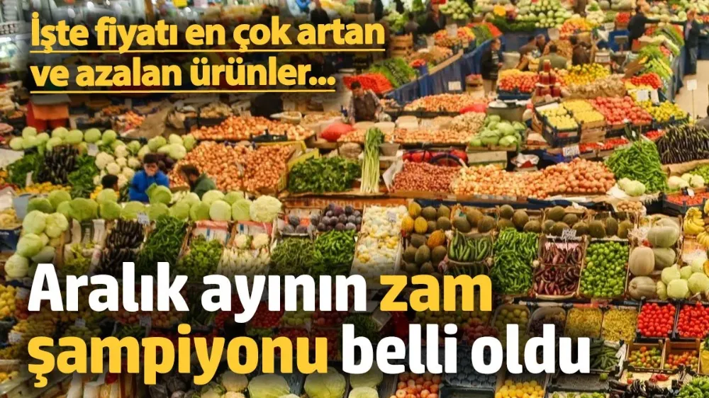 İşte aralık ayının zam şampiyonu...