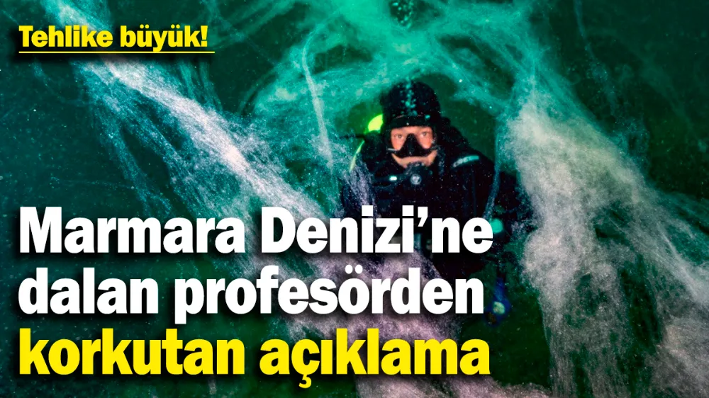 Marmara Denizi’ne dalan profesörden korkutan açıklama