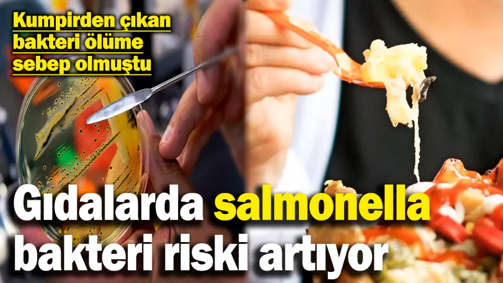 Gıdalarda salmonella bakteri riski artıyor