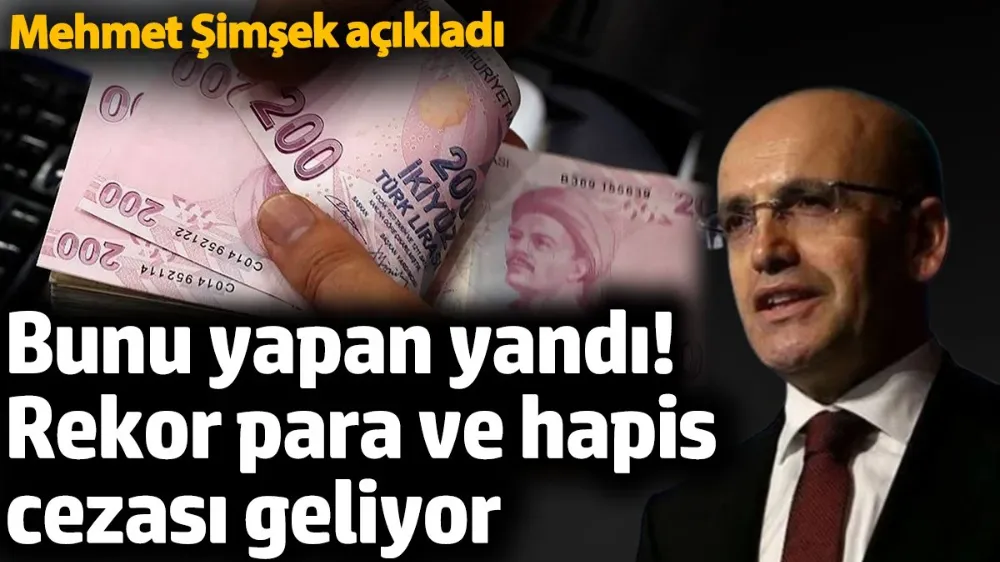 Bunu yapan yandı! Rekor para ve hapis cezası geliyor. 