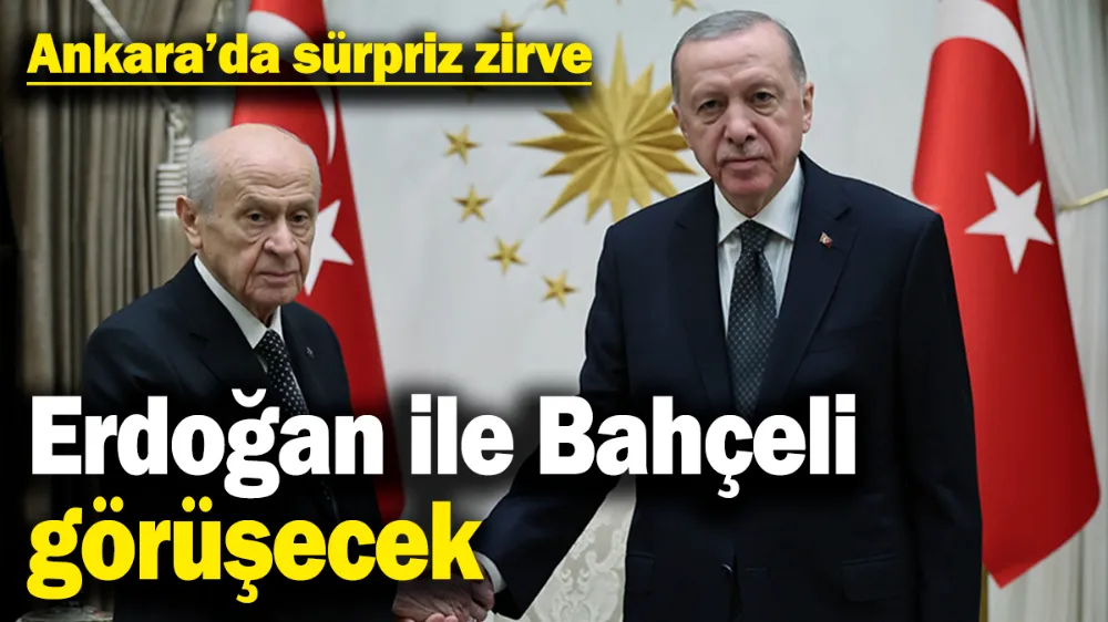 Erdoğan ile Bahçeli görüşecek