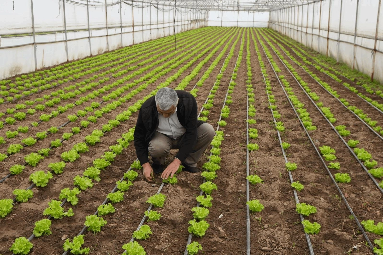 Balıkesir’de “Tarım Modeli” ile çiftçiye destek