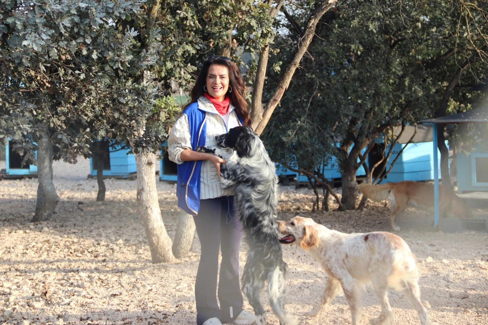 YASAV minik dostlara umut  oldu