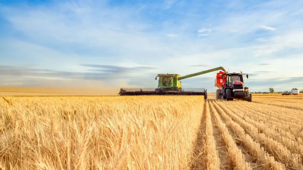 Tarımsal girdi fiyatlarında artış