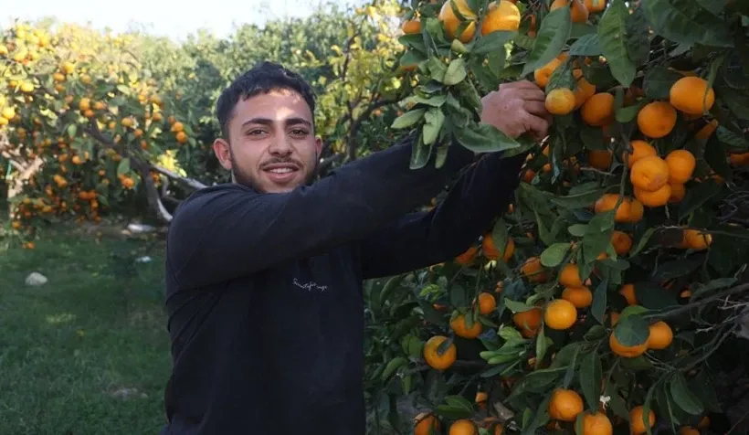 Tarlada 2 TL, markette 30 TL! Hataylı üreticiler isyanda