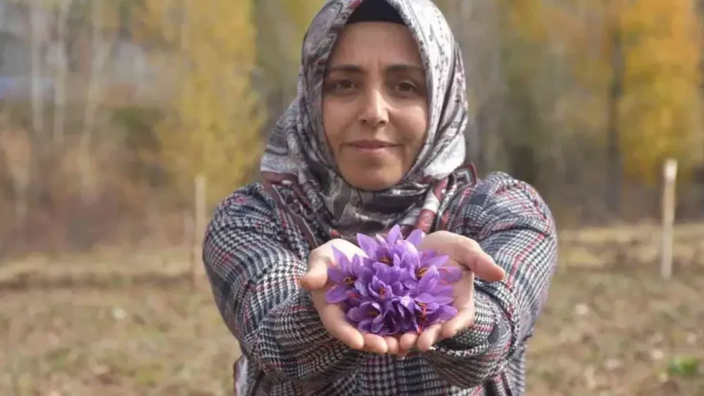 Kanser eşine bulamadığı bitkinin üreticisi oldu
