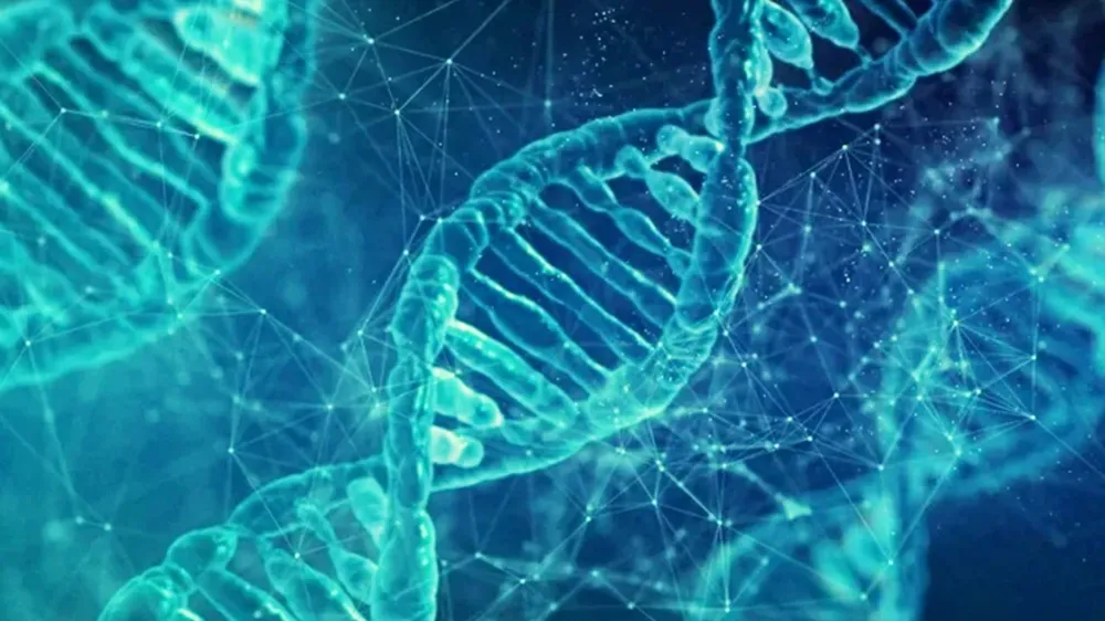 Erkek cinsiyetini belirleyen Y kromozomu yok oluyor!