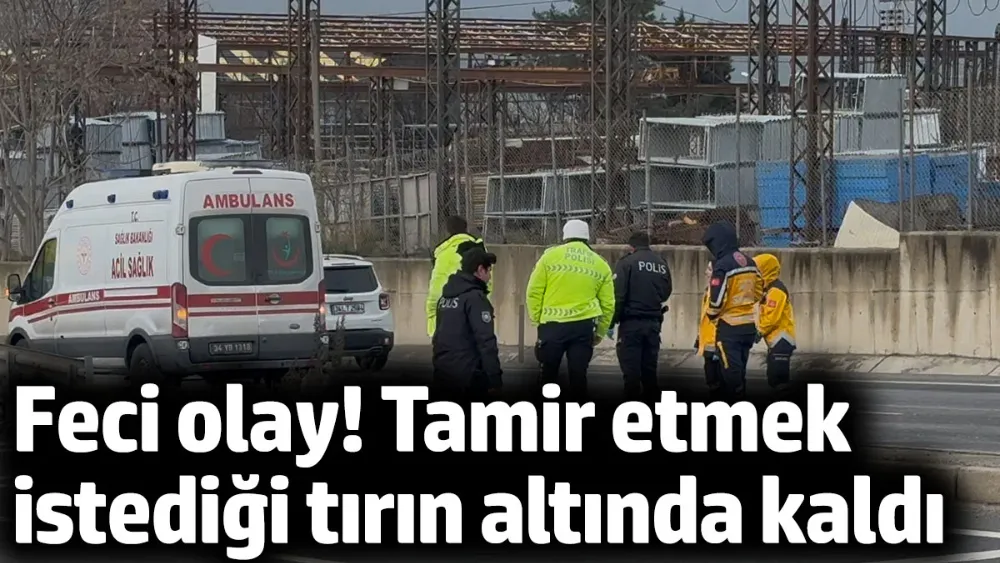 Tamir etmek istediği tırın altında kaldı