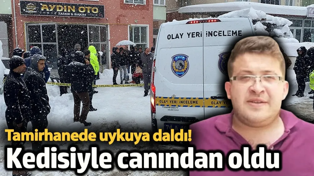 Uykuya daldı, hem kedisi hem kendisi canından oldu