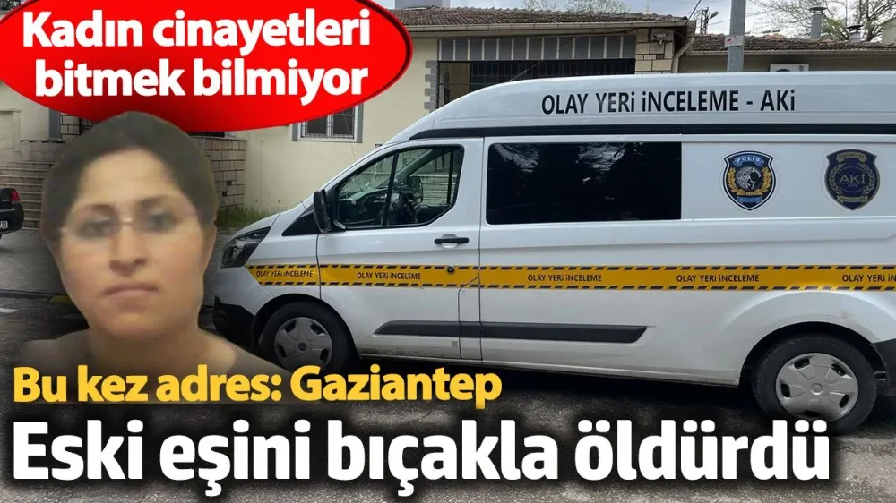 Kadın cinayetleri bitmek bilmiyor! 