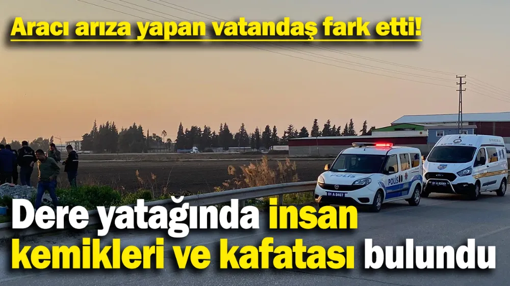 Dere yatağında insan kemikleri ve kafatası bulundu