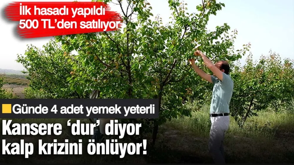 Kansere ‘dur’ diyor kalp krizini önlüyor! 