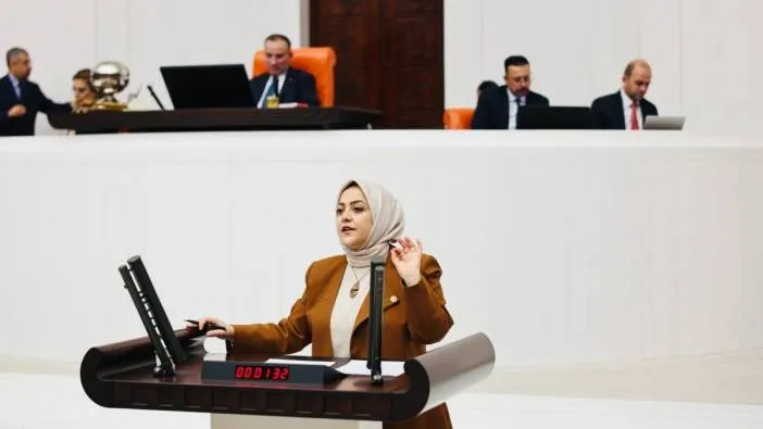 Milletvekili Ün; 