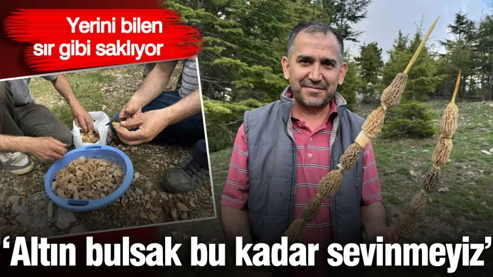 Yerini bilen sır gibi saklıyor! 