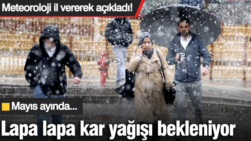 Lapa lapa kar yağışı bekleniyor! Mayıs ayında...